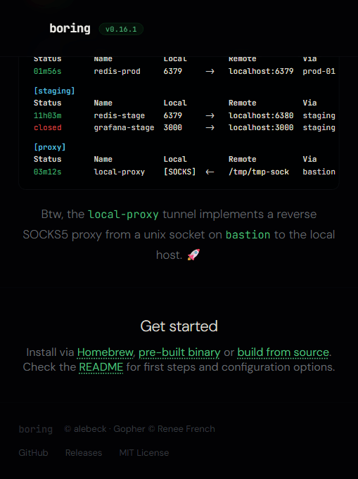 boring list 的分组输出：prod/staging/proxy 三组，状态、本地端口、远端、via 一目了然