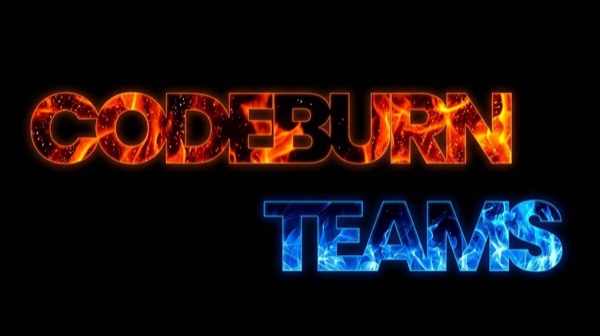 CodeBurn 的团队/多机汇总视图